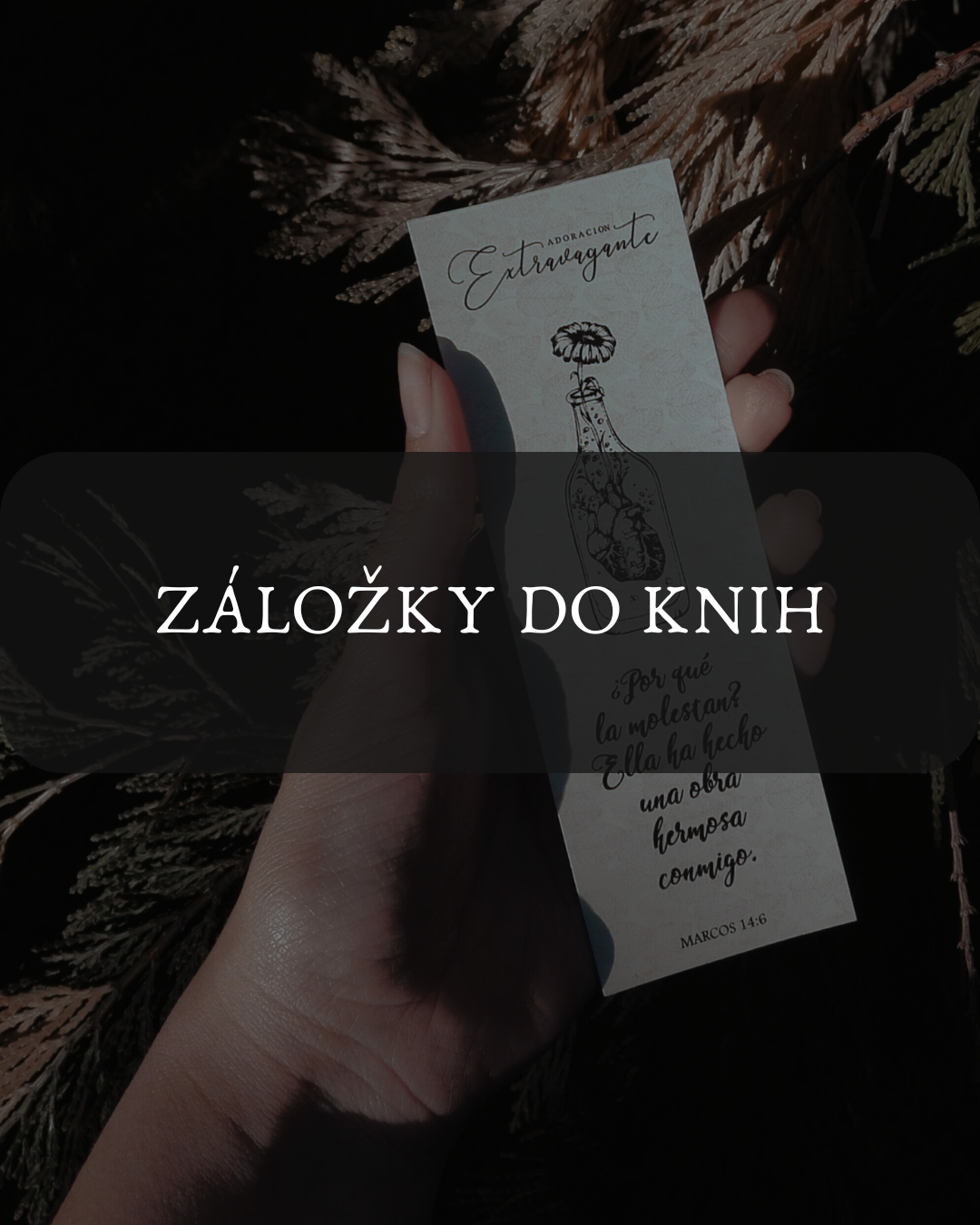 Pro každého, kdo nechce ztratit stránku svého příběhu.